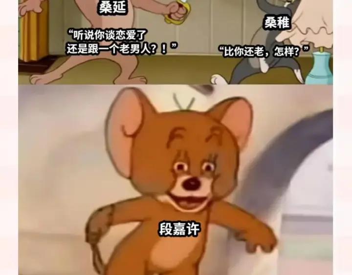 漫画《偷偷藏不住》第37期 梗图第二期来噜第12张图