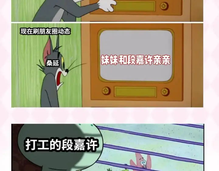 漫画《偷偷藏不住》第37期 梗图第二期来噜第5张图