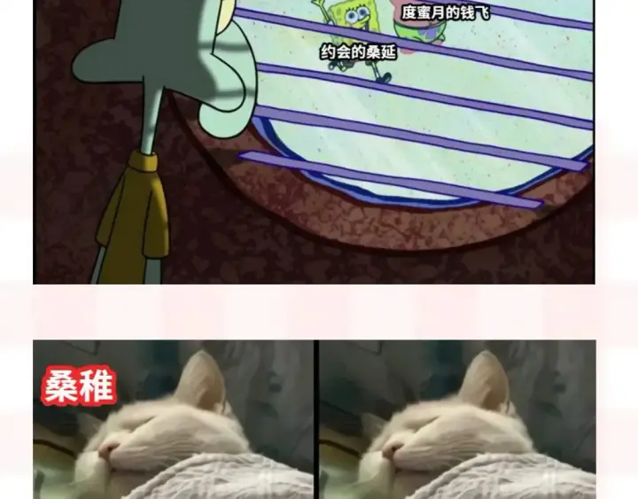 漫画《偷偷藏不住》第37期 梗图第二期来噜第6张图