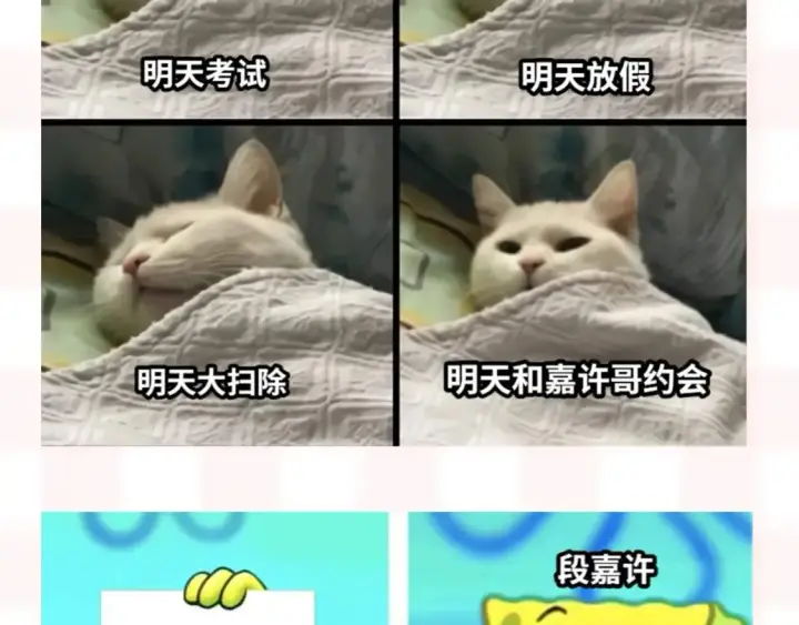 漫画《偷偷藏不住》第37期 梗图第二期来噜第7张图