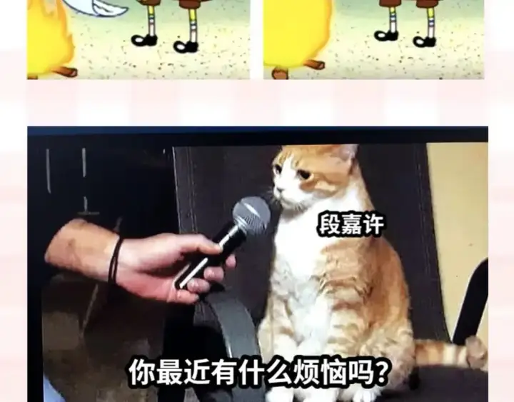 漫画《偷偷藏不住》第37期 梗图第二期来噜第9张图