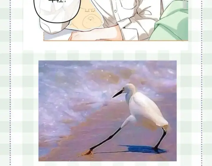漫画《偷偷藏不住》第48期 8月整活总结第32张图