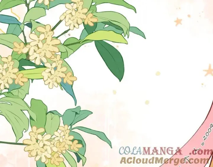 漫画《偷偷藏不住》第34话 全部告诉你第25张图