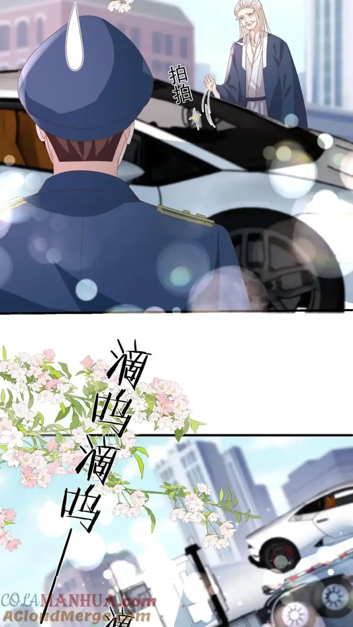 漫画《团宠萌宝：四岁小师傅下山了》第103话 滨江路老车神第9张图