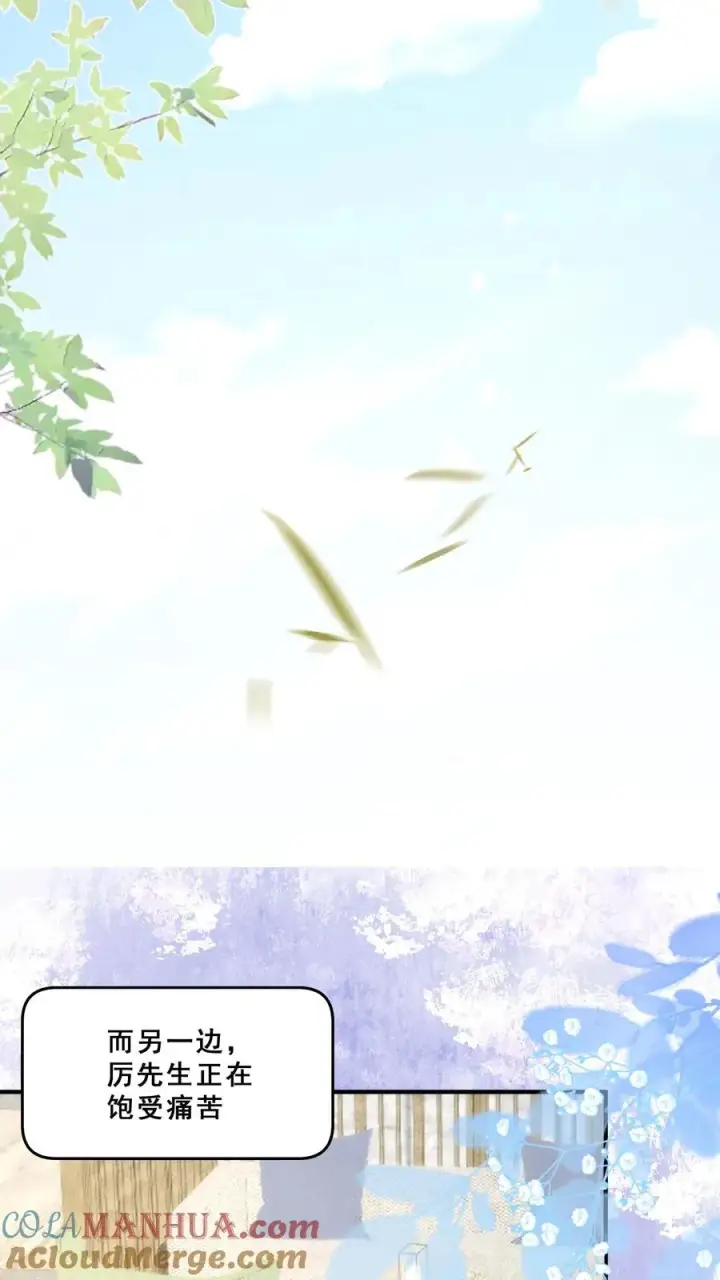 漫画《团宠萌宝：四岁小师傅下山了》第111话 厉先生病发第29张图