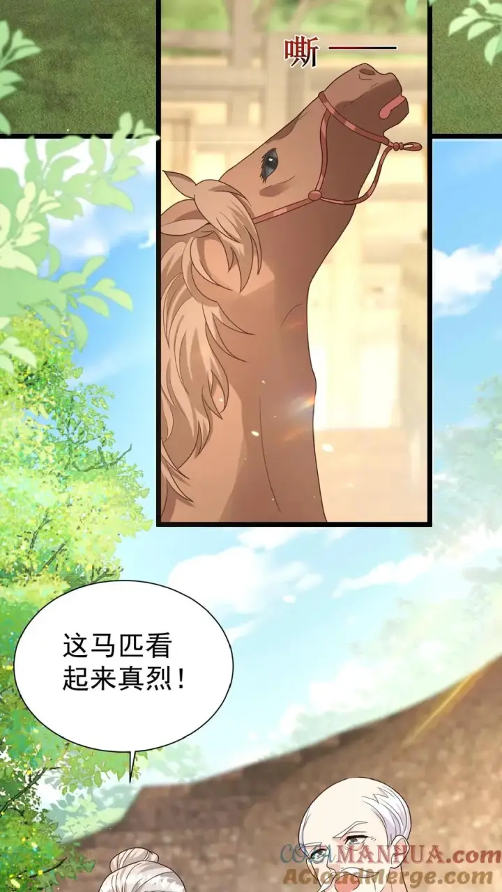 漫画《团宠萌宝：四岁小师傅下山了》第119话 小师傅飒爆了第3张图