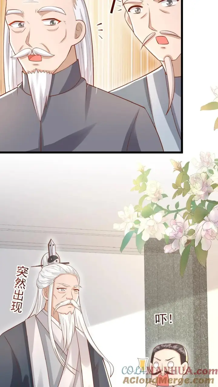 漫画《团宠萌宝：四岁小师傅下山了》第129话 总有刁民搞事情第3张图