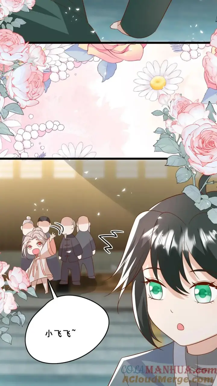 漫画《团宠萌宝：四岁小师傅下山了》第139话 不明人士追杀第11张图