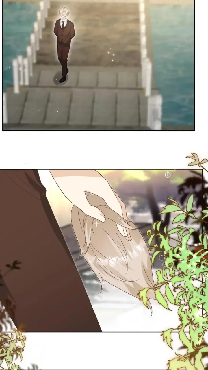漫画《团宠萌宝：四岁小师傅下山了》第144话 神针消息泄露第24张图