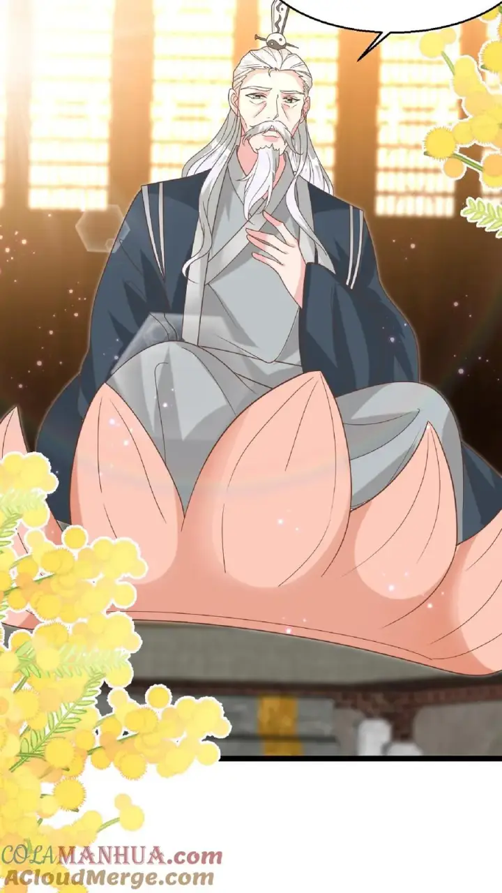 漫画《团宠萌宝：四岁小师傅下山了》第147话 新掌门第5张图