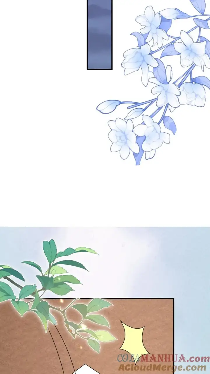 漫画《团宠萌宝：四岁小师傅下山了》第154话 快来吖！抓小偷第15张图