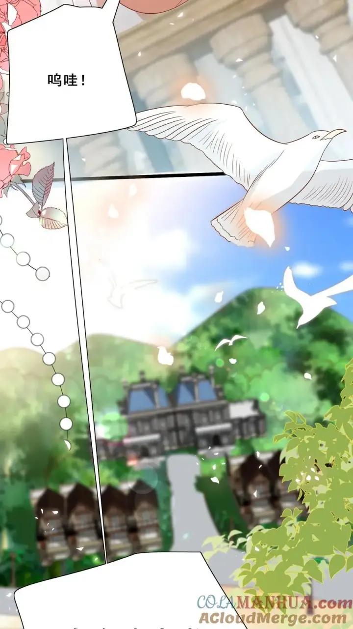 漫画《团宠萌宝：四岁小师傅下山了》第161话 王子殿下第3张图