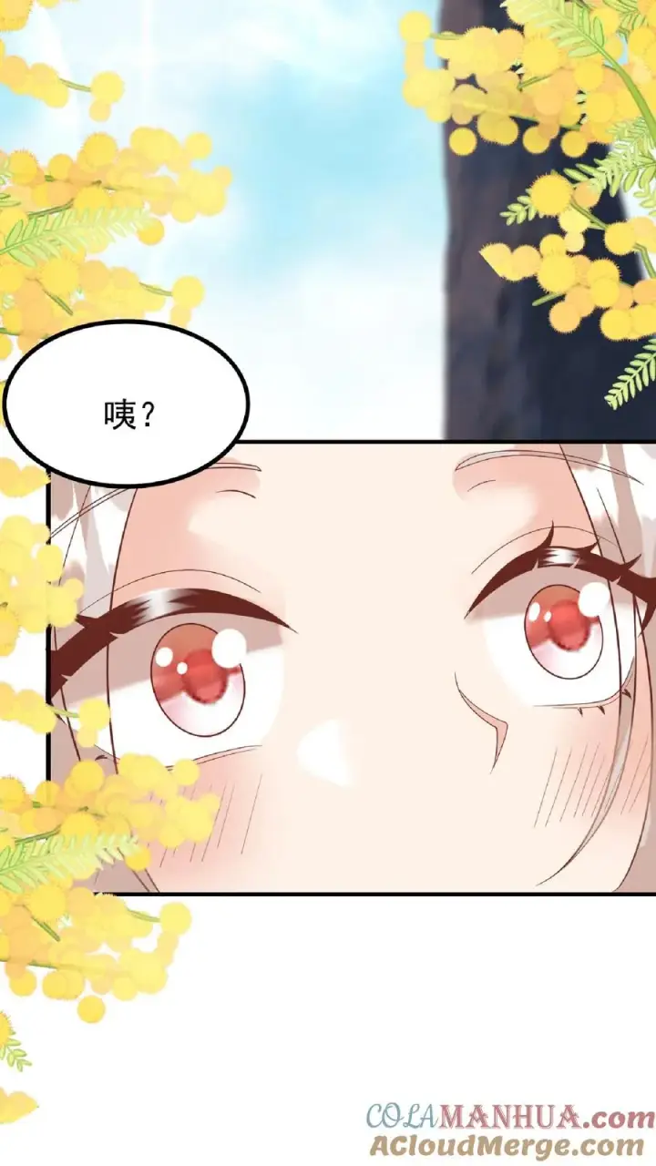 漫画《团宠萌宝：四岁小师傅下山了》第165话 诡异的梧桐树第17张图