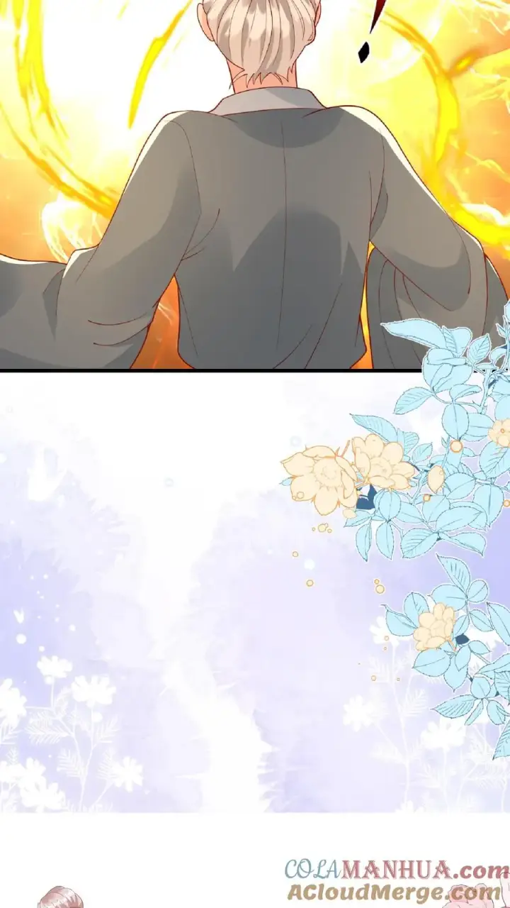 漫画《团宠萌宝：四岁小师傅下山了》第166话 镇魂剑第25张图