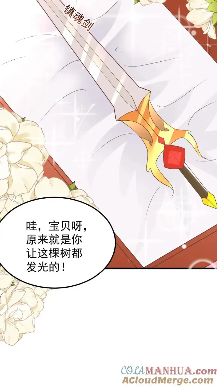 漫画《团宠萌宝：四岁小师傅下山了》第166话 镇魂剑第9张图