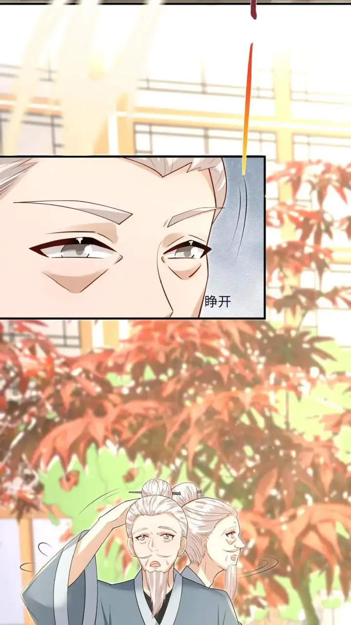漫画《团宠萌宝：四岁小师傅下山了》第167话 仗剑天涯梦第6张图