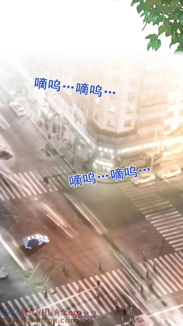 漫画《团宠萌宝：四岁小师傅下山了》第174话 什么鸟语第13张图