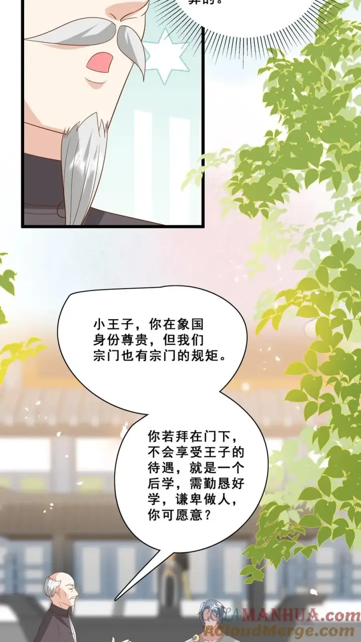 漫画《团宠萌宝：四岁小师傅下山了》第179话 王子的天价拜师礼第11张图