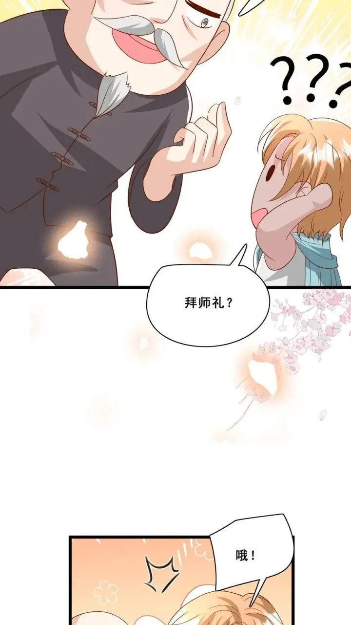 漫画《团宠萌宝：四岁小师傅下山了》第179话 王子的天价拜师礼第14张图