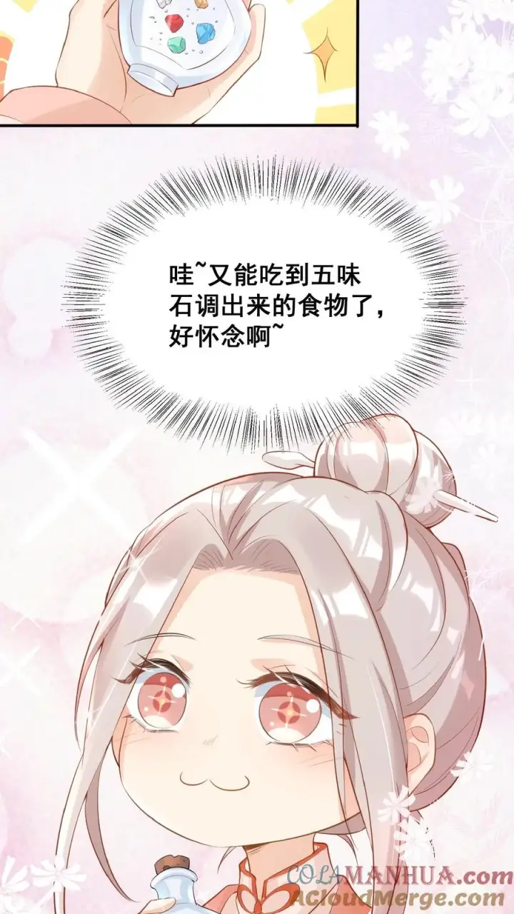 漫画《团宠萌宝：四岁小师傅下山了》第18话 神奇的五味石第17张图