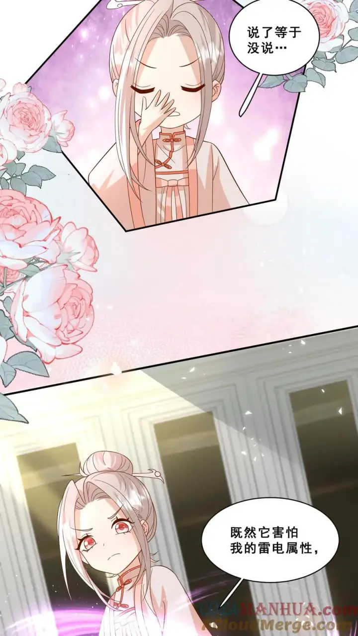 漫画《团宠萌宝：四岁小师傅下山了》第193话 神雷之下第13张图