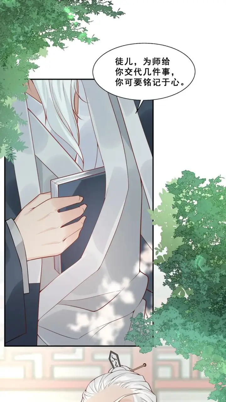 漫画《团宠萌宝：四岁小师傅下山了》第1话 萌宝下山啦第16张图
