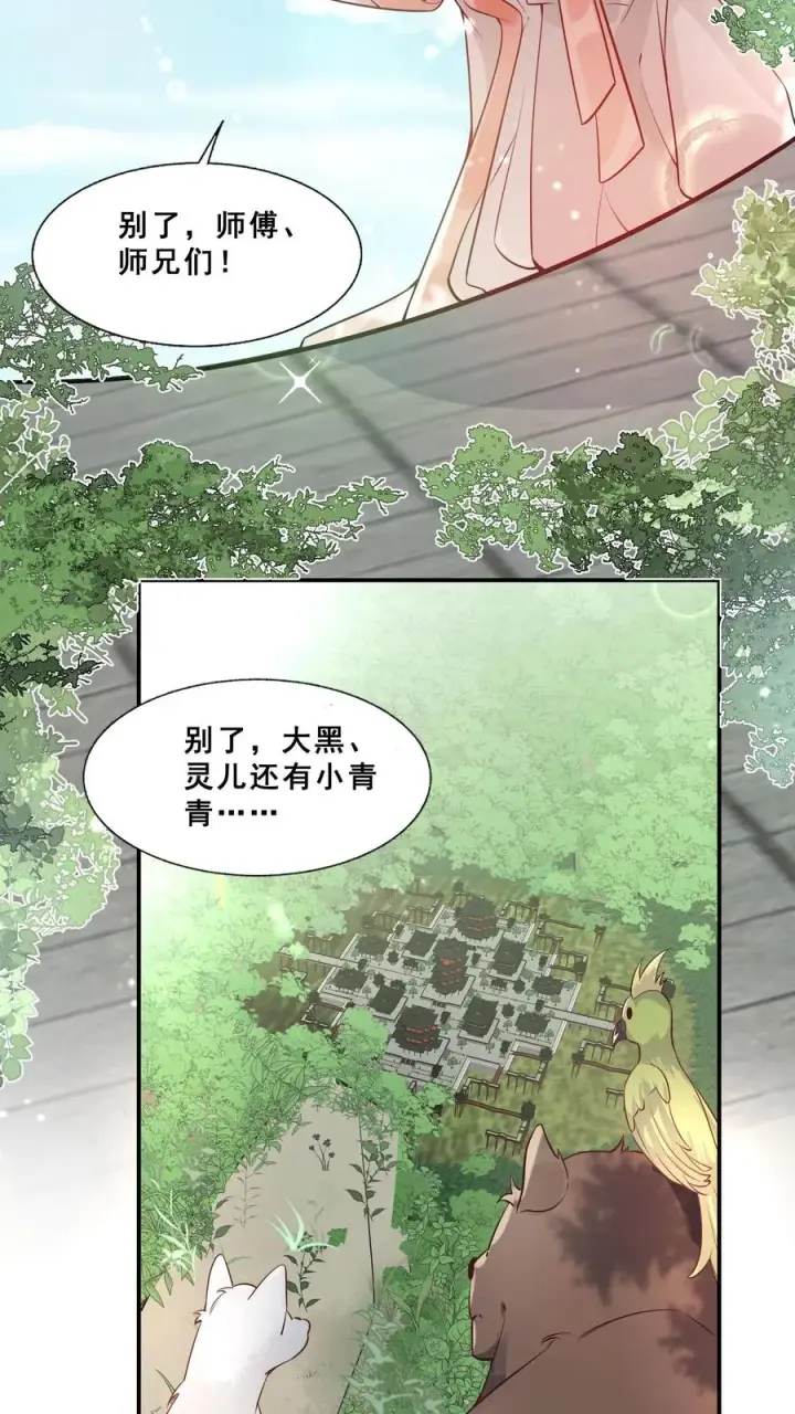 漫画《团宠萌宝：四岁小师傅下山了》第1话 萌宝下山啦第32张图