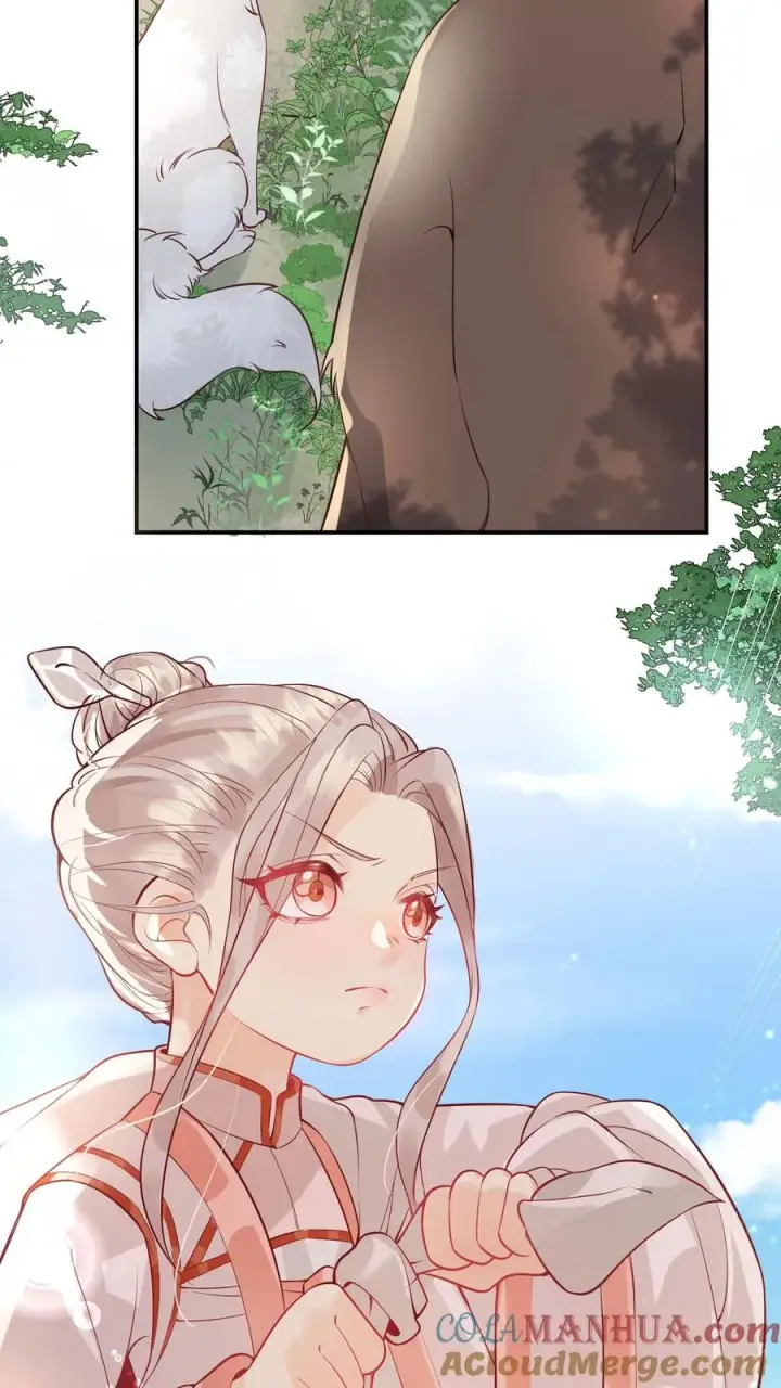 漫画《团宠萌宝：四岁小师傅下山了》第1话 萌宝下山啦第33张图