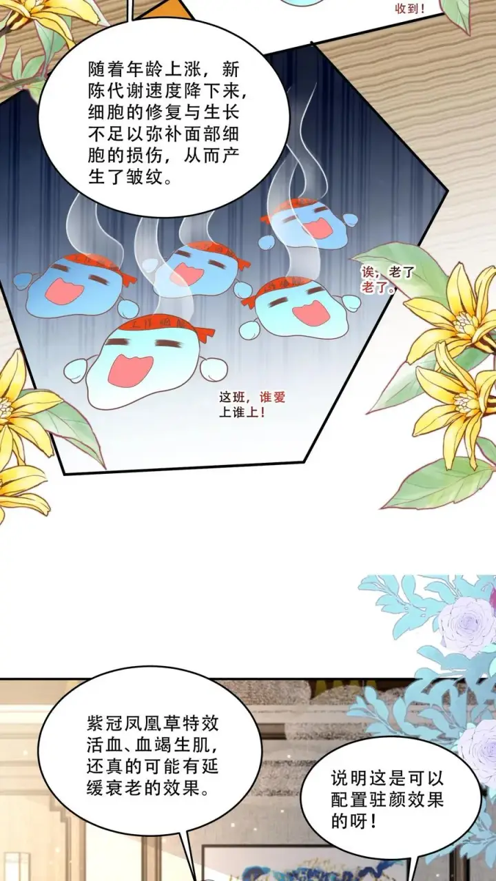 漫画《团宠萌宝：四岁小师傅下山了》第206话 大家想要驻颜丹第14张图