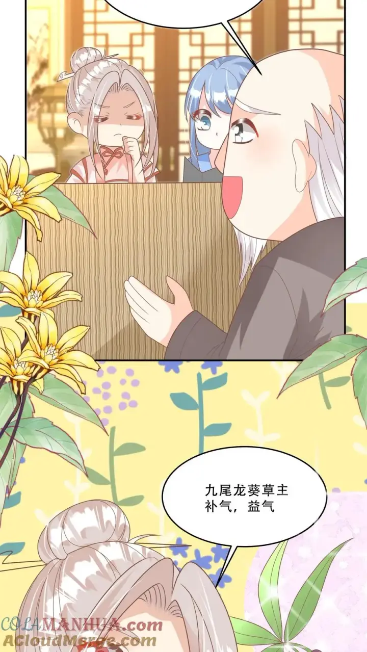 漫画《团宠萌宝：四岁小师傅下山了》第206话 大家想要驻颜丹第9张图