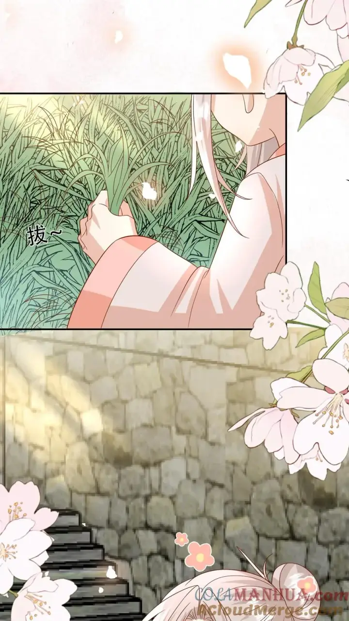 漫画《团宠萌宝：四岁小师傅下山了》第211话 被宠大的南宫凝第9张图