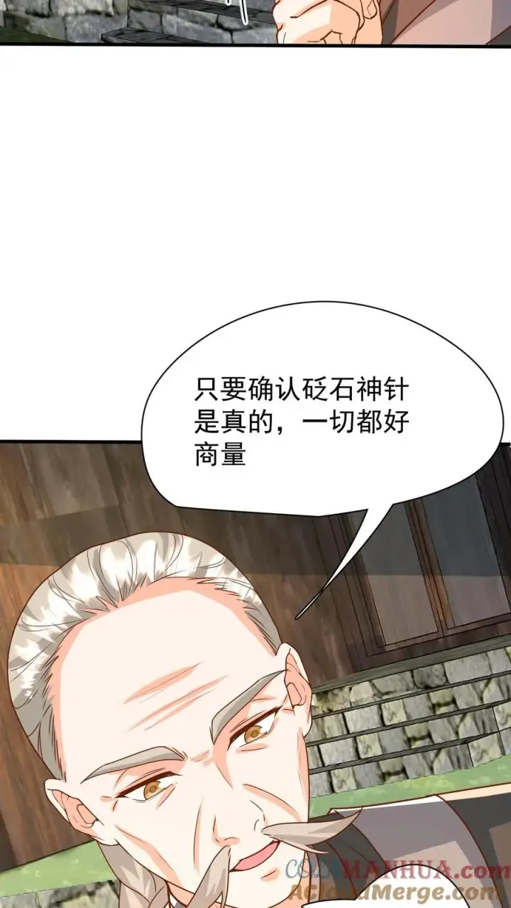 漫画《团宠萌宝：四岁小师傅下山了》第212话 要什么给什么第7张图
