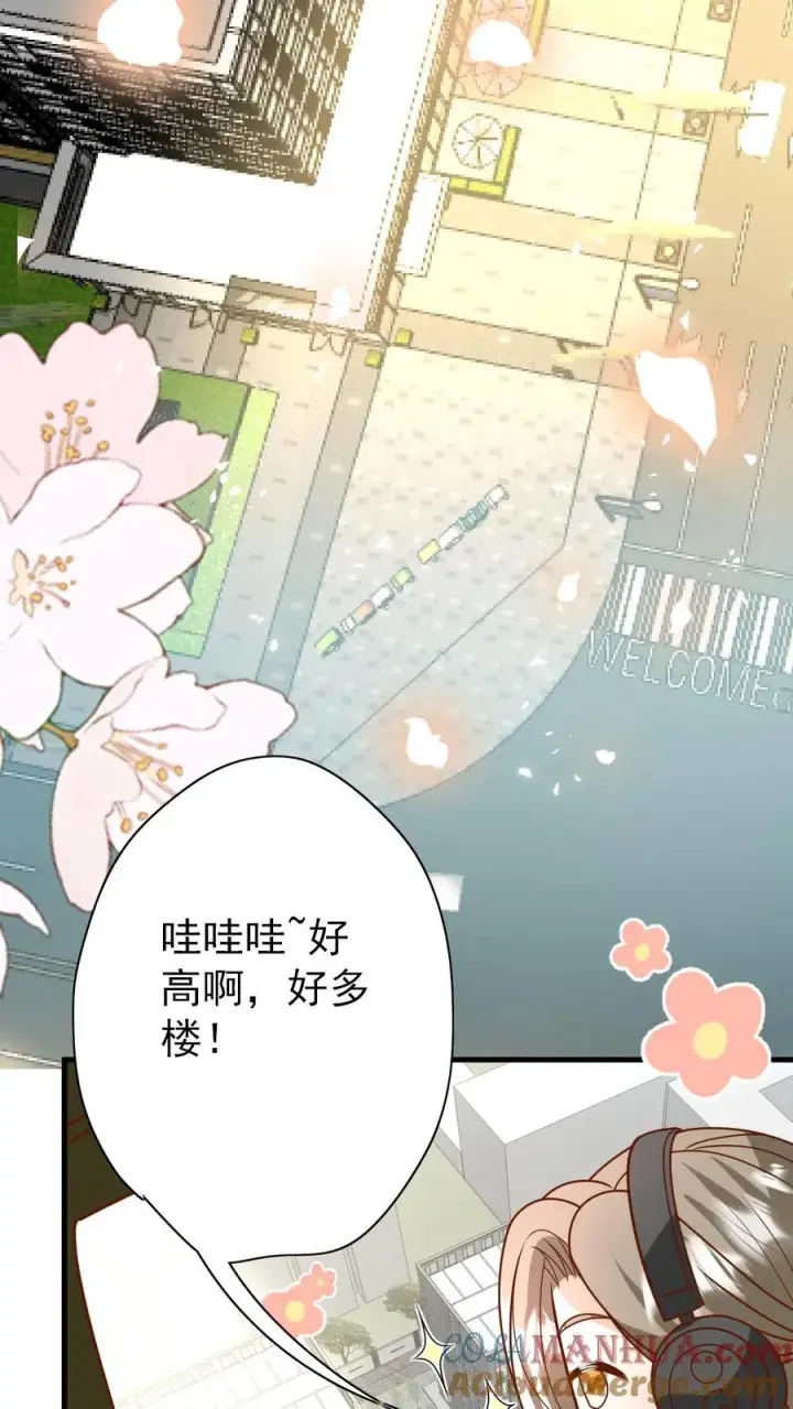漫画《团宠萌宝：四岁小师傅下山了》第216话 道馆被袭击第21张图