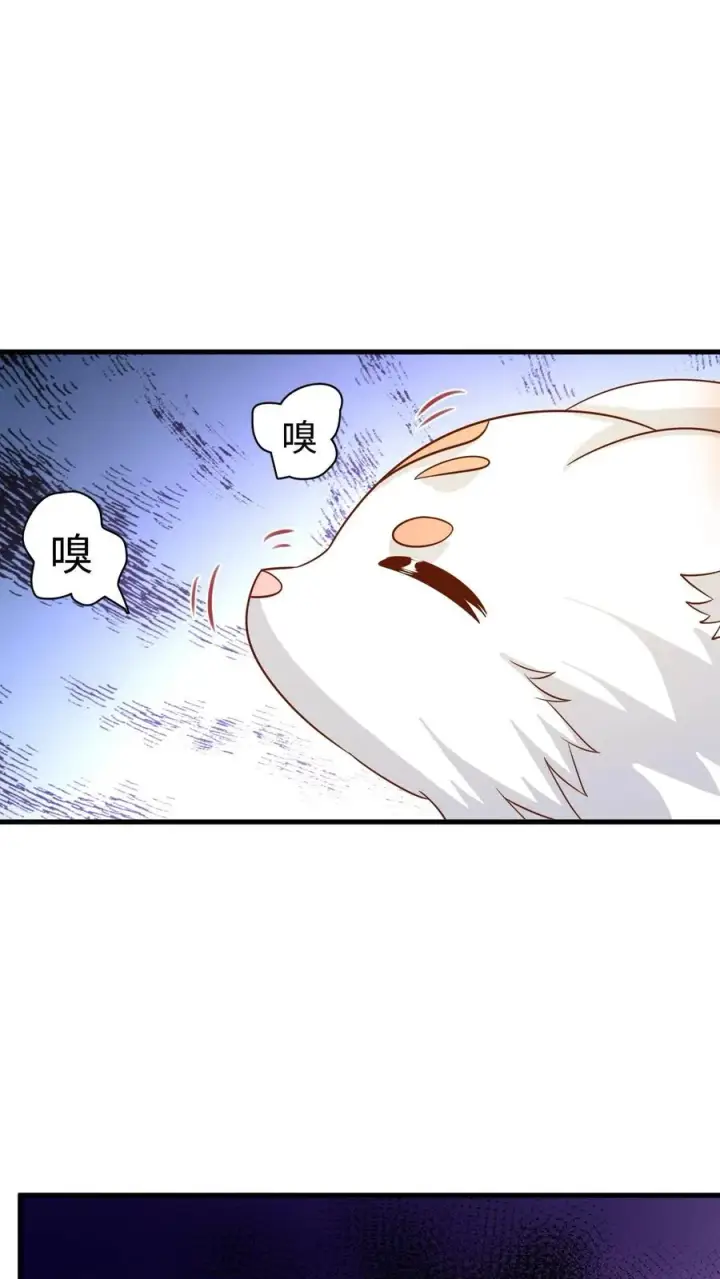 漫画《团宠萌宝：四岁小师傅下山了》第217话 战雷霆三号第12张图