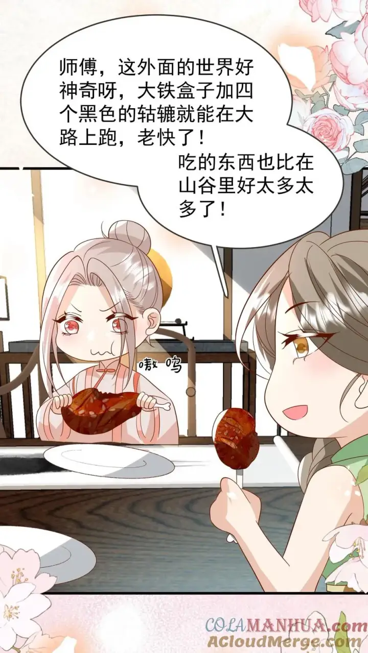 漫画《团宠萌宝：四岁小师傅下山了》第221话 天书第三页第17张图