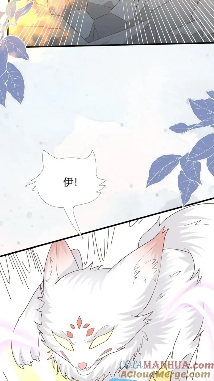 漫画《团宠萌宝：四岁小师傅下山了》第223话 敌袭第37张图