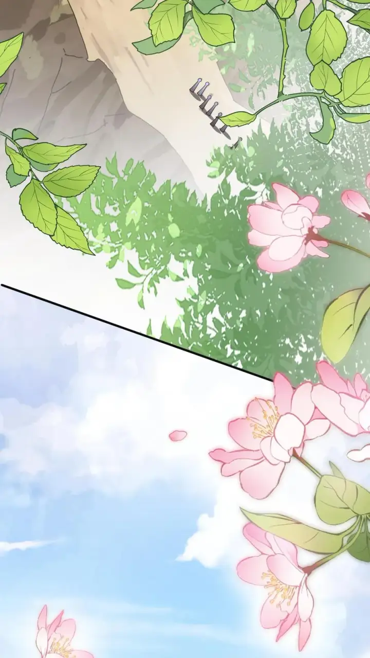 漫画《团宠萌宝：四岁小师傅下山了》第226话 西普岛危机第12张图