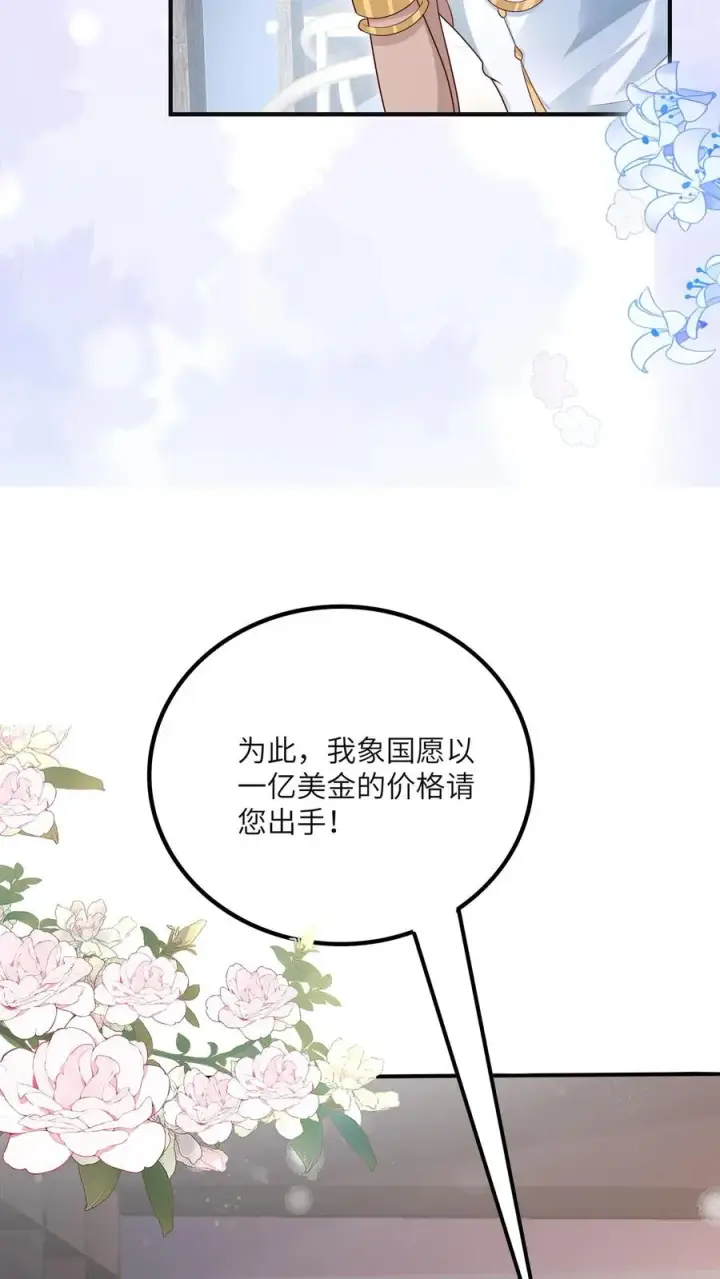 漫画《团宠萌宝：四岁小师傅下山了》第226话 西普岛危机第26张图