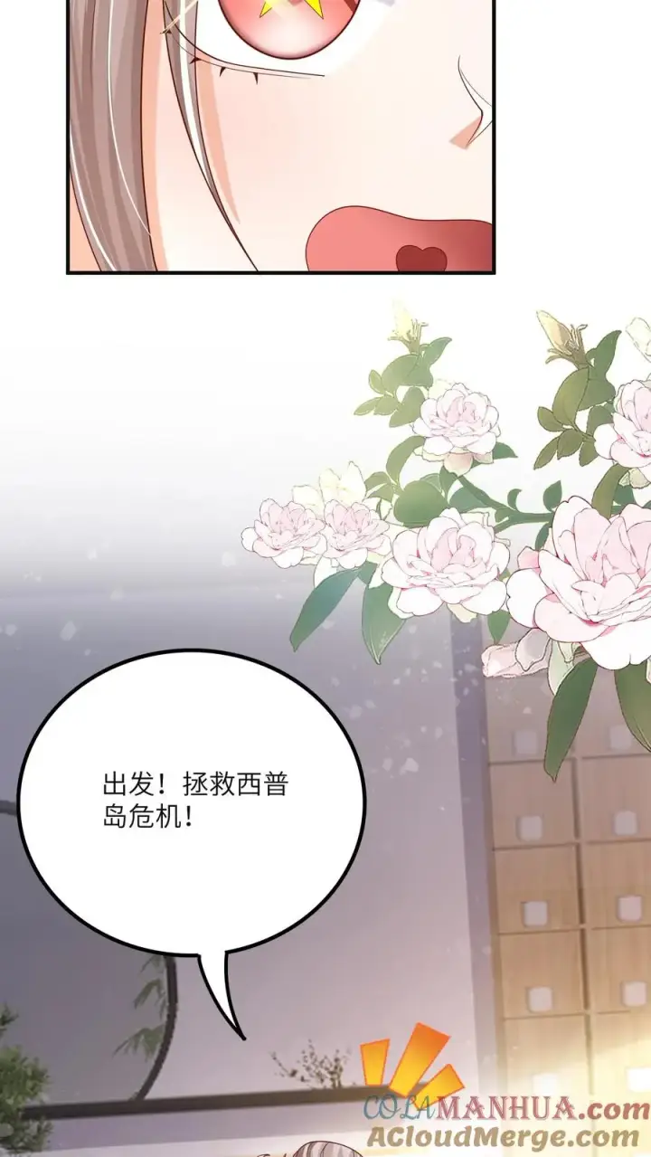 漫画《团宠萌宝：四岁小师傅下山了》第226话 西普岛危机第29张图