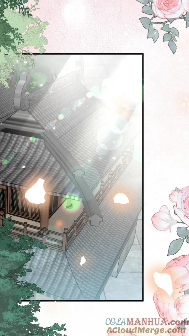 漫画《团宠萌宝：四岁小师傅下山了》第227话 女侠出征第3张图