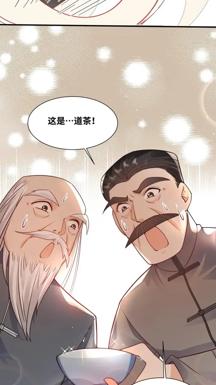 漫画《团宠萌宝：四岁小师傅下山了》第23话 这是……道茶！第16张图