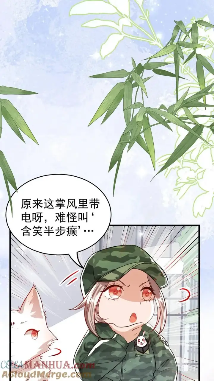 漫画《团宠萌宝：四岁小师傅下山了》第239话 含笑半步癫第29张图