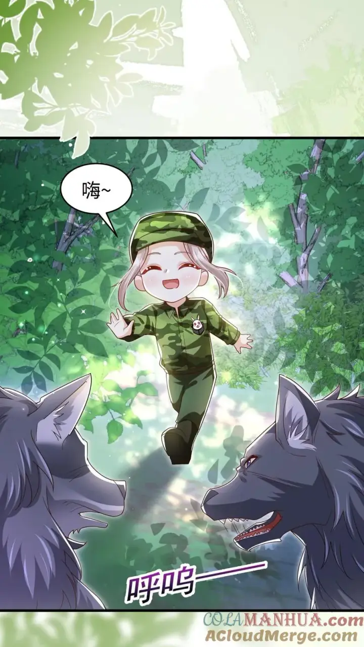 漫画《团宠萌宝：四岁小师傅下山了》第245话 被狼群围攻第19张图