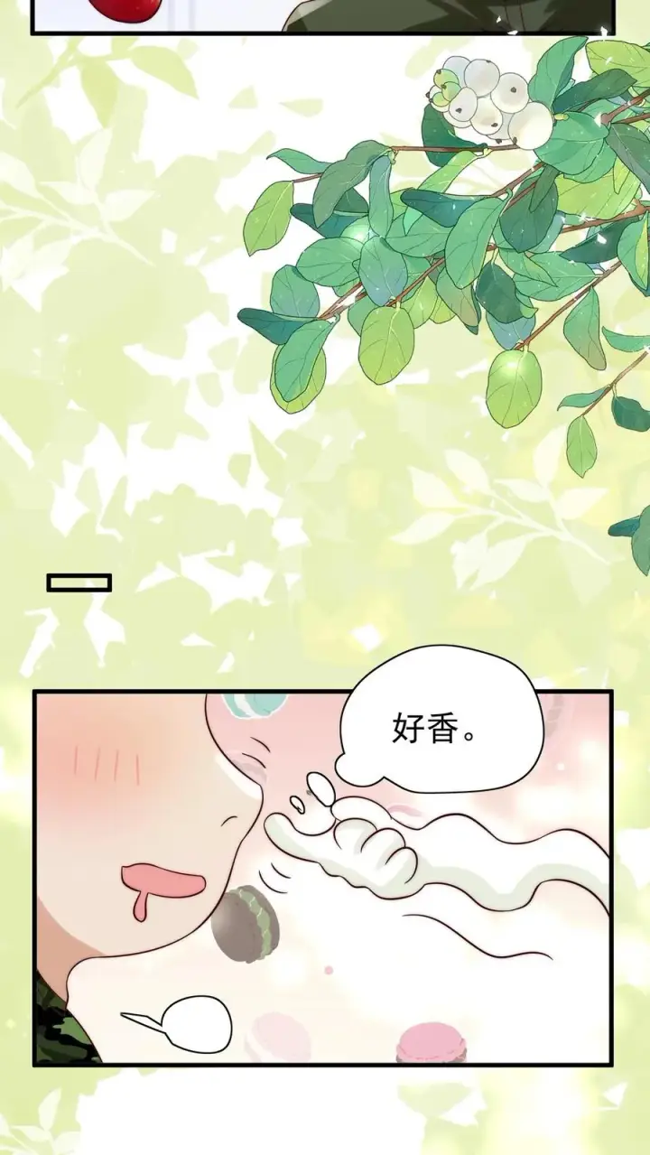 漫画《团宠萌宝：四岁小师傅下山了》第247话 兽潮第12张图