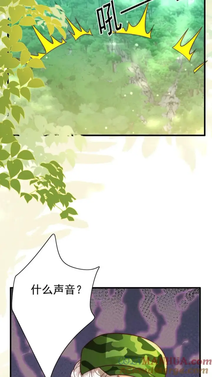 漫画《团宠萌宝：四岁小师傅下山了》第247话 兽潮第23张图
