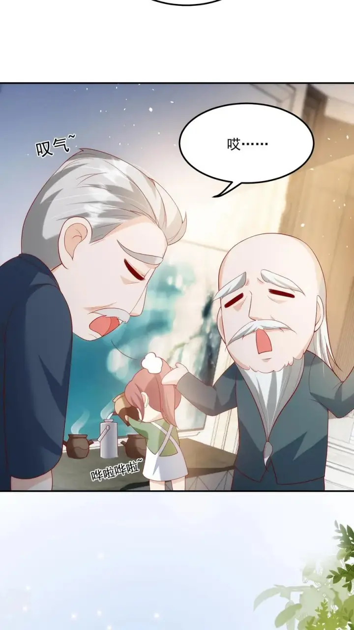 漫画《团宠萌宝：四岁小师傅下山了》第24话 延年益寿汤！第4张图
