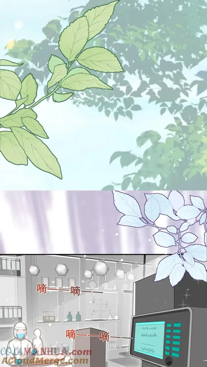 漫画《团宠萌宝：四岁小师傅下山了》第256话 末将炎戮，参见少主第7张图