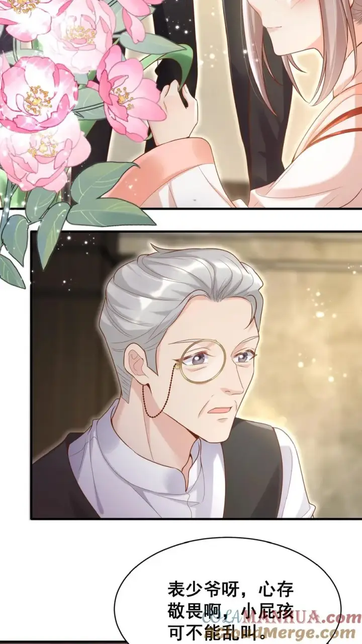 漫画《团宠萌宝：四岁小师傅下山了》第26话 要鸡飞狗跳了…第5张图