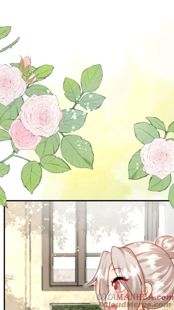 漫画《团宠萌宝：四岁小师傅下山了》第279话 被偷家第7张图