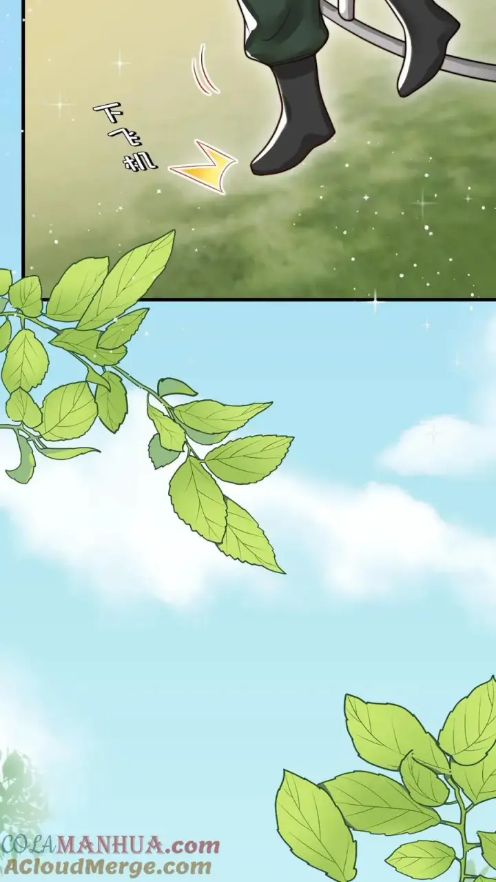 漫画《团宠萌宝：四岁小师傅下山了》第281话 误伤我帅脸第27张图